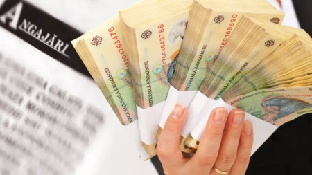 Salariu de 7.000 de lei ca să bați la ușile oamenilor Ce companie românească oferă această sumă Îți trebuie doar studii medii și te angajează